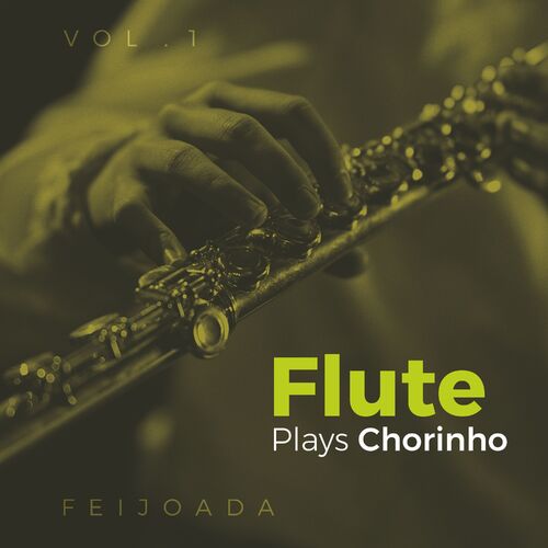 Capa de Flute Plays Chorinho, Vol. 1