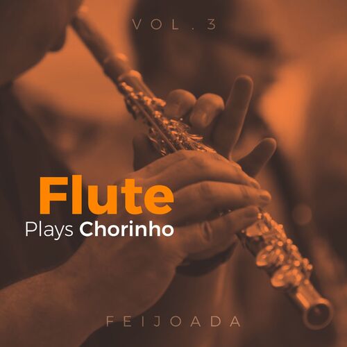 Capa de Flute Plays Chorinho, Vol. 3