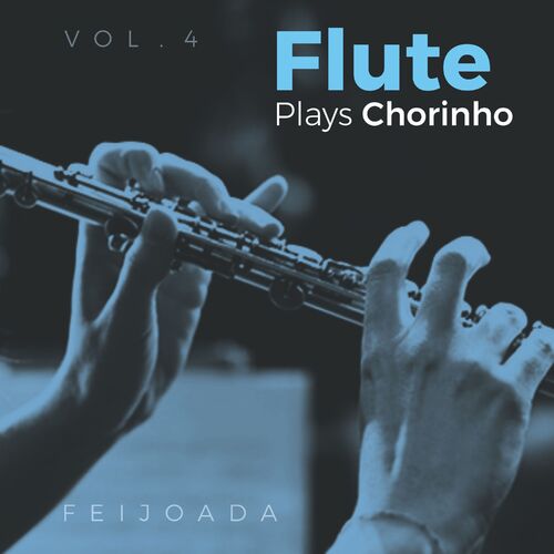 Capa de Flute Plays Chorinho, Vol. 4