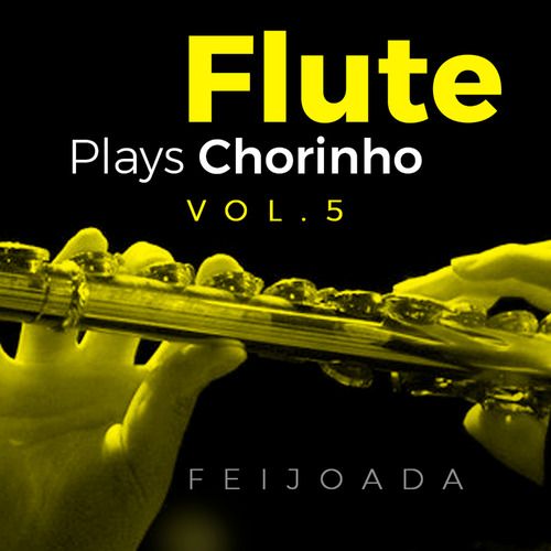Capa de Flute Plays Chorinho, Vol. 5