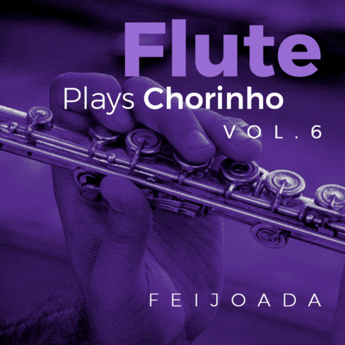 Capa de Flute Plays Chorinho, Vol. 6